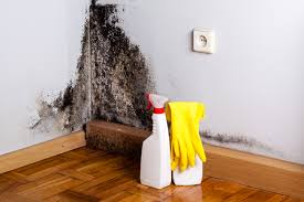 Best Black Mold Removal  in Marshville, NC